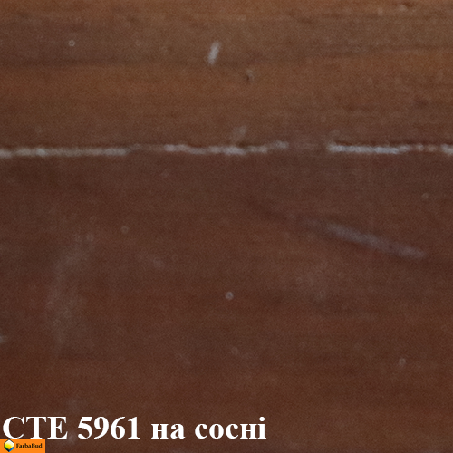 Універсальний концентрат барвника "темний горіх" Sirca CTE5961.01 1 л 6883491 фото